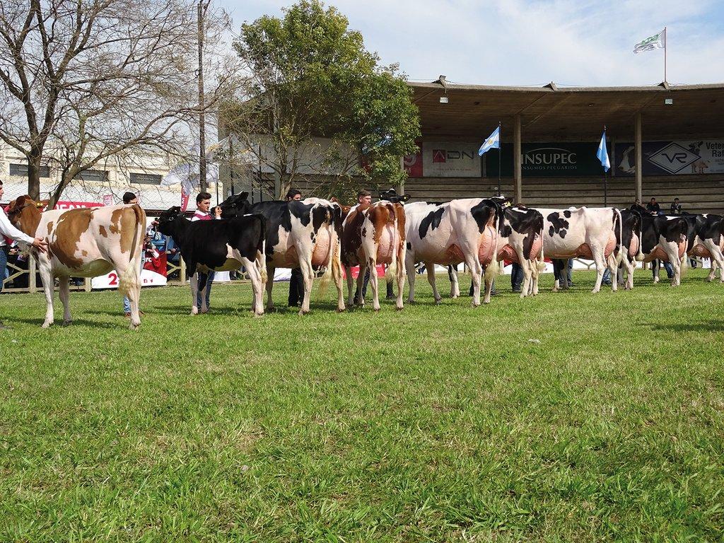 Se aproxima la Expo Rural Rafaela 2026